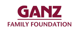 Ganz-FF-270b